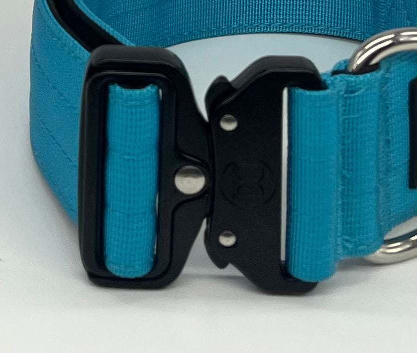 5cm Active collar | WITH HANDLE - Blue