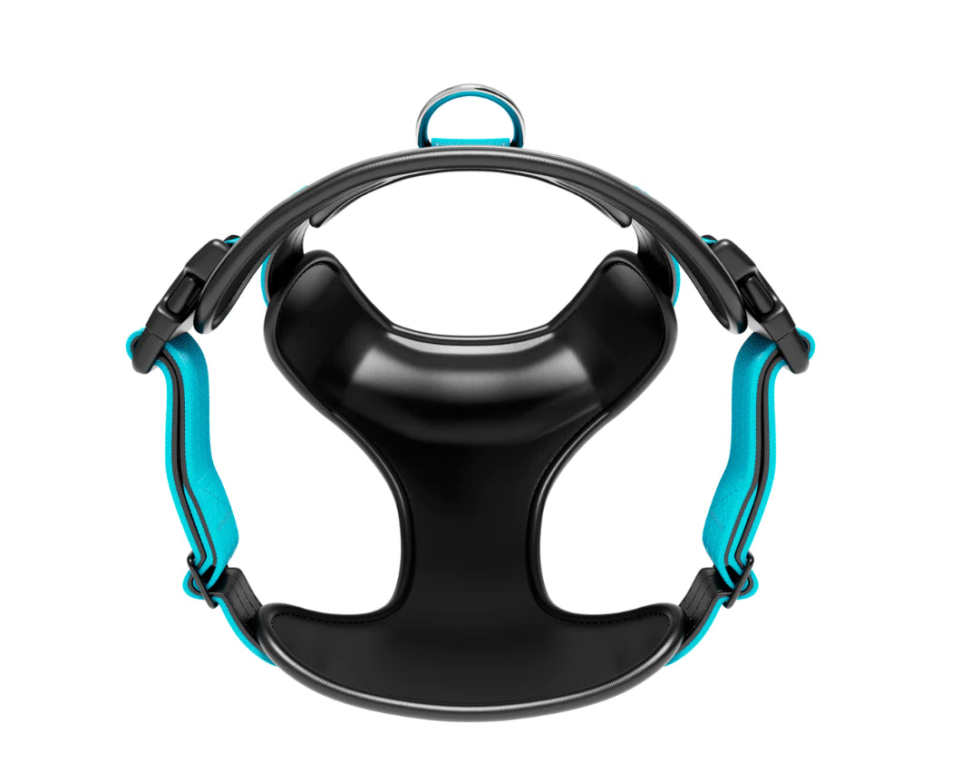 Comfort Harness | Adjustable - Tiffany blue