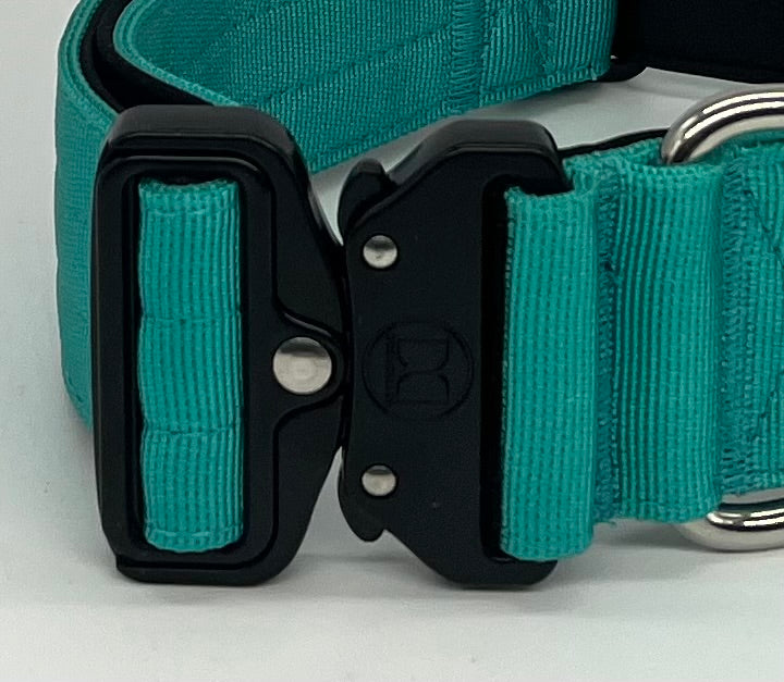 4cm Active collar | WITH HANDLE - Tiffany blue