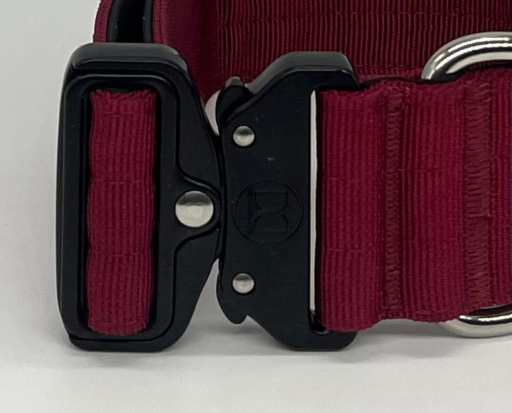 5cm Active collar | WITH HANDLE - Burgundy