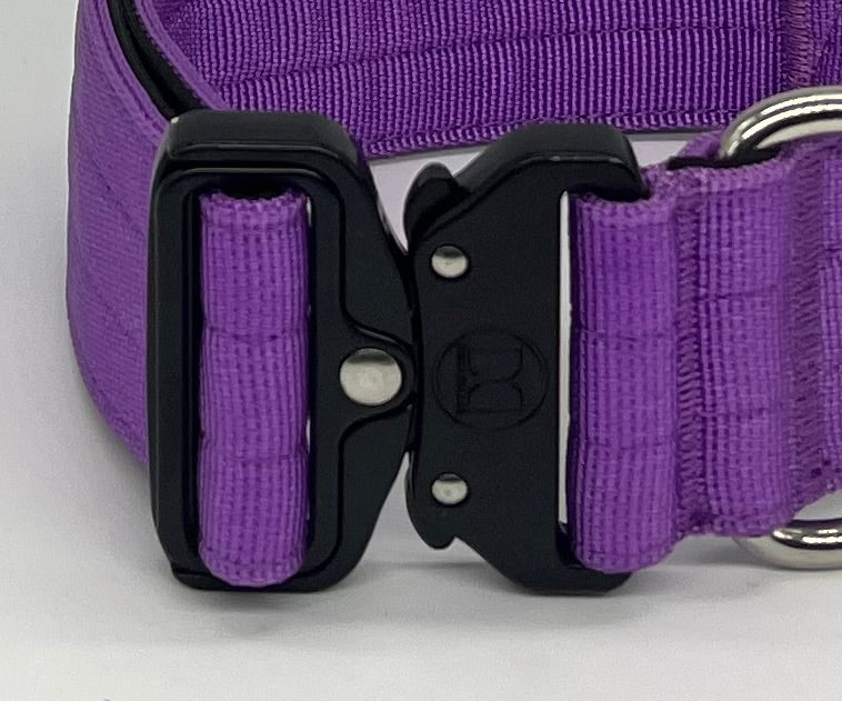 5cm Active collar | WITH HANDLE - Purple
